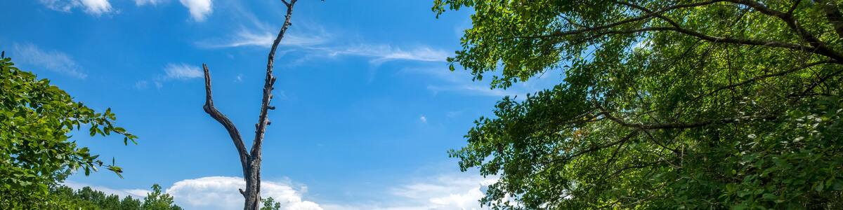 Mountain Lake, Araiba Mountain, Georgia, USA