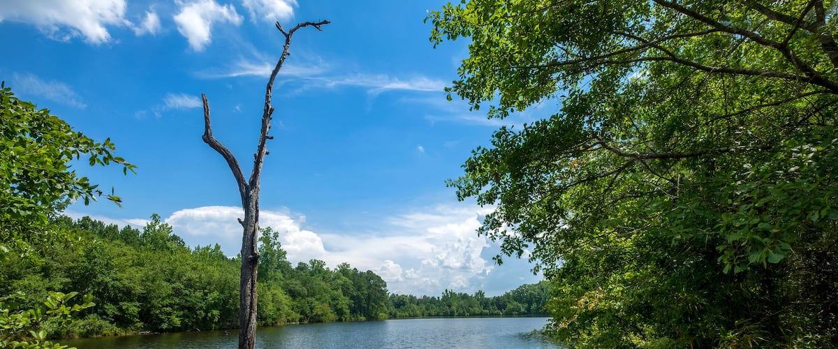 Mountain Lake, Araiba Mountain, Georgia, USA