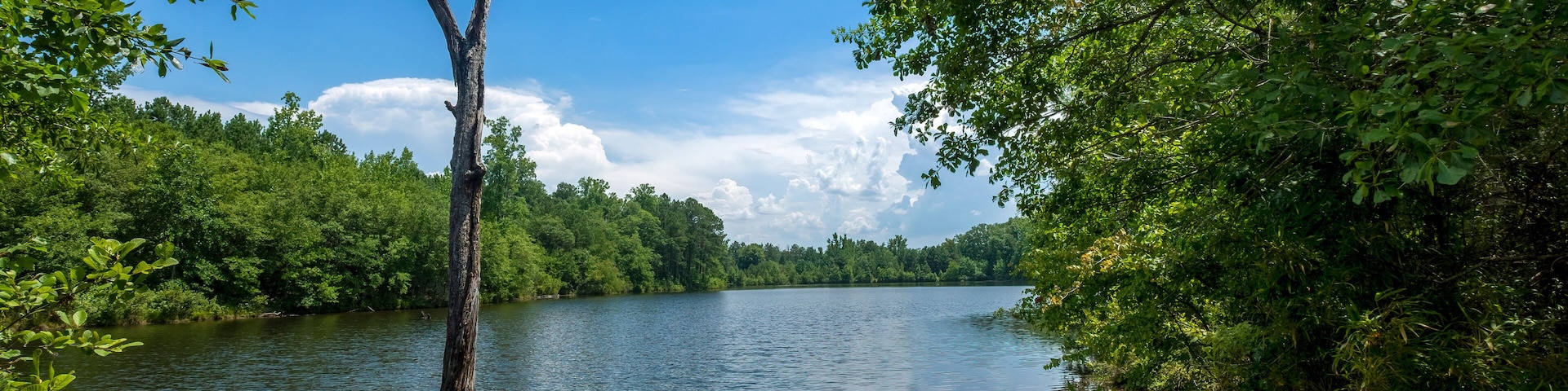 Mountain Lake, Araiba Mountain, Georgia, USA