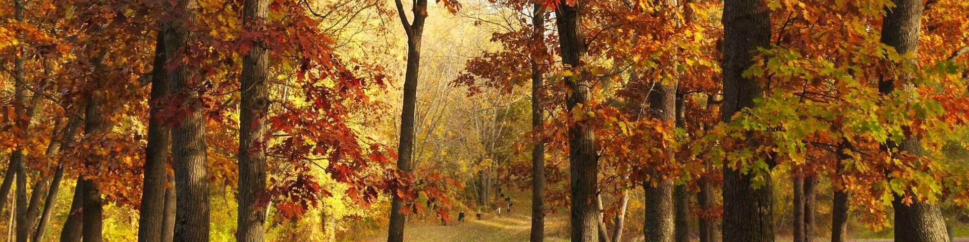 Fall time at Stoney Creek Metro park. Absolutely stunning in the fall!