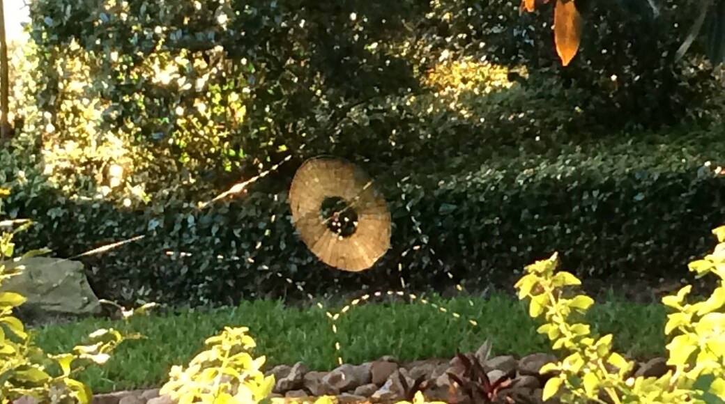 Pleasures are fleeting. If you don't stop to enjoy them now, you will lose them forever.