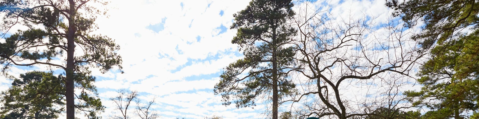 Tomball Burroughs park in Houston Texas