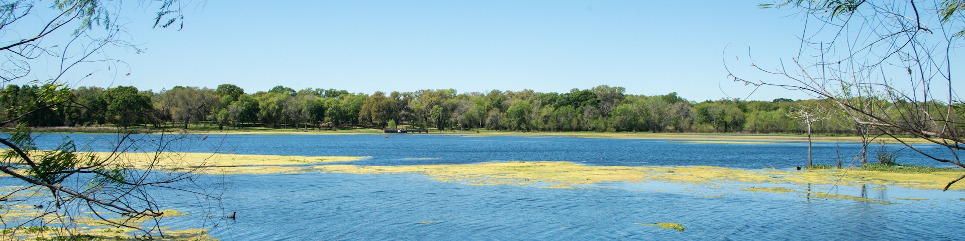 Brazos Bend State Park, Texas