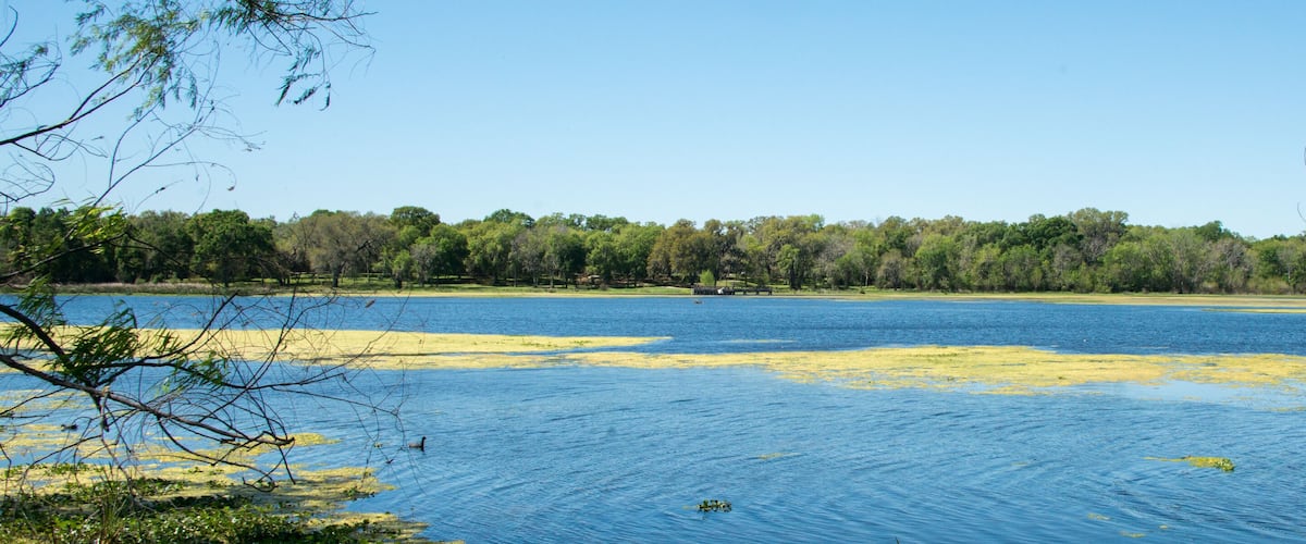 Brazos Bend State Park, Texas