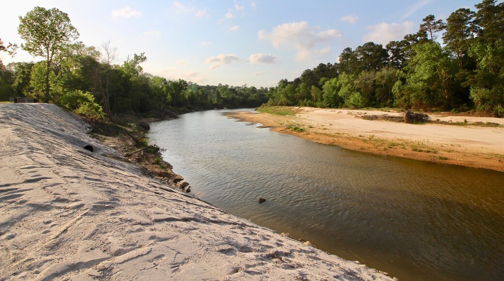 Along the bike trails, Cypress Creek.
