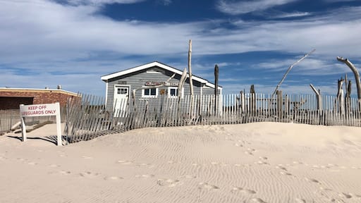 ์ ๋์ธ๋ฐ์ผ