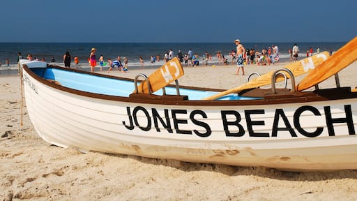 ์ ๋์ธ๋ฐ์ผ