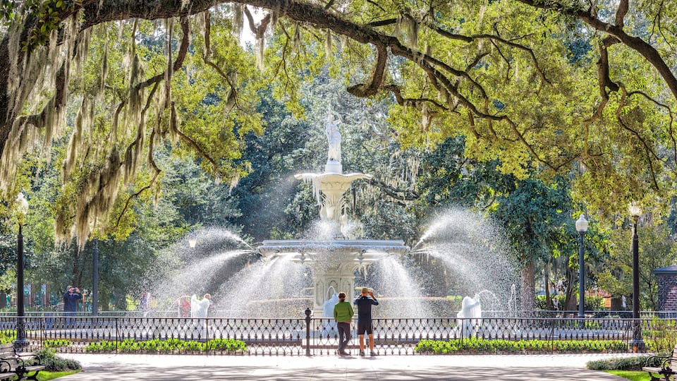 A park with a central fountain, surrounded by a fence, and shaded by large trees with hanging moss.