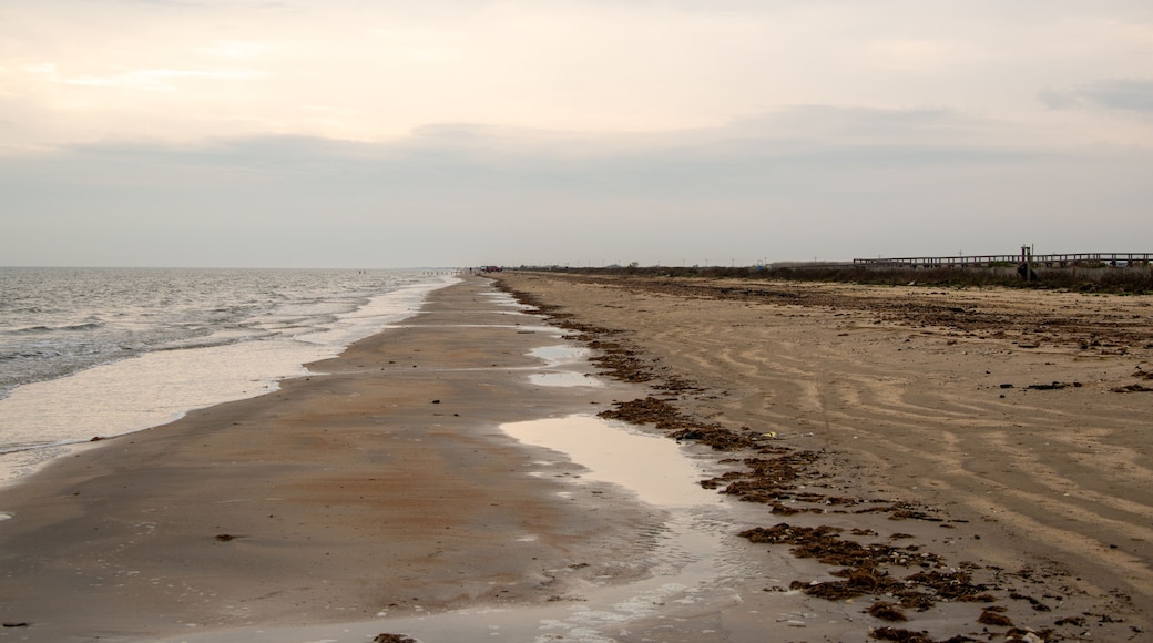 A beach with a wooden pier extending into the water.