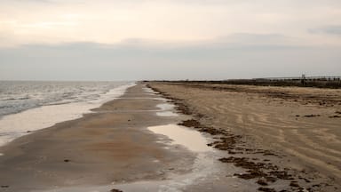 Una playa con un muelle de madera que se adentra en el agua.