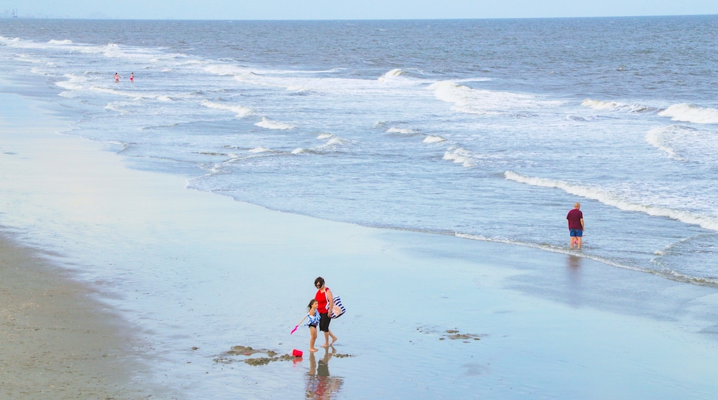 Surfside Beach showing a sandy beach and general coastal views as well as a family
