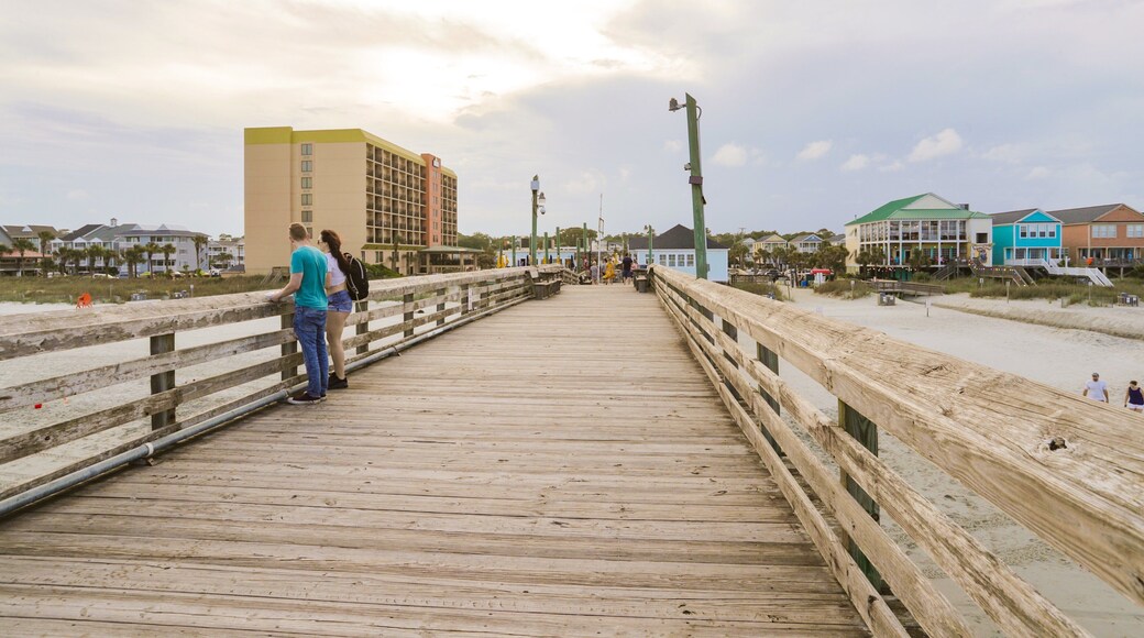 Surfside Beach which includes a coastal town as well as a couple