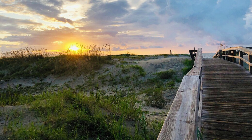 Beautiful sunrise everyday🌴