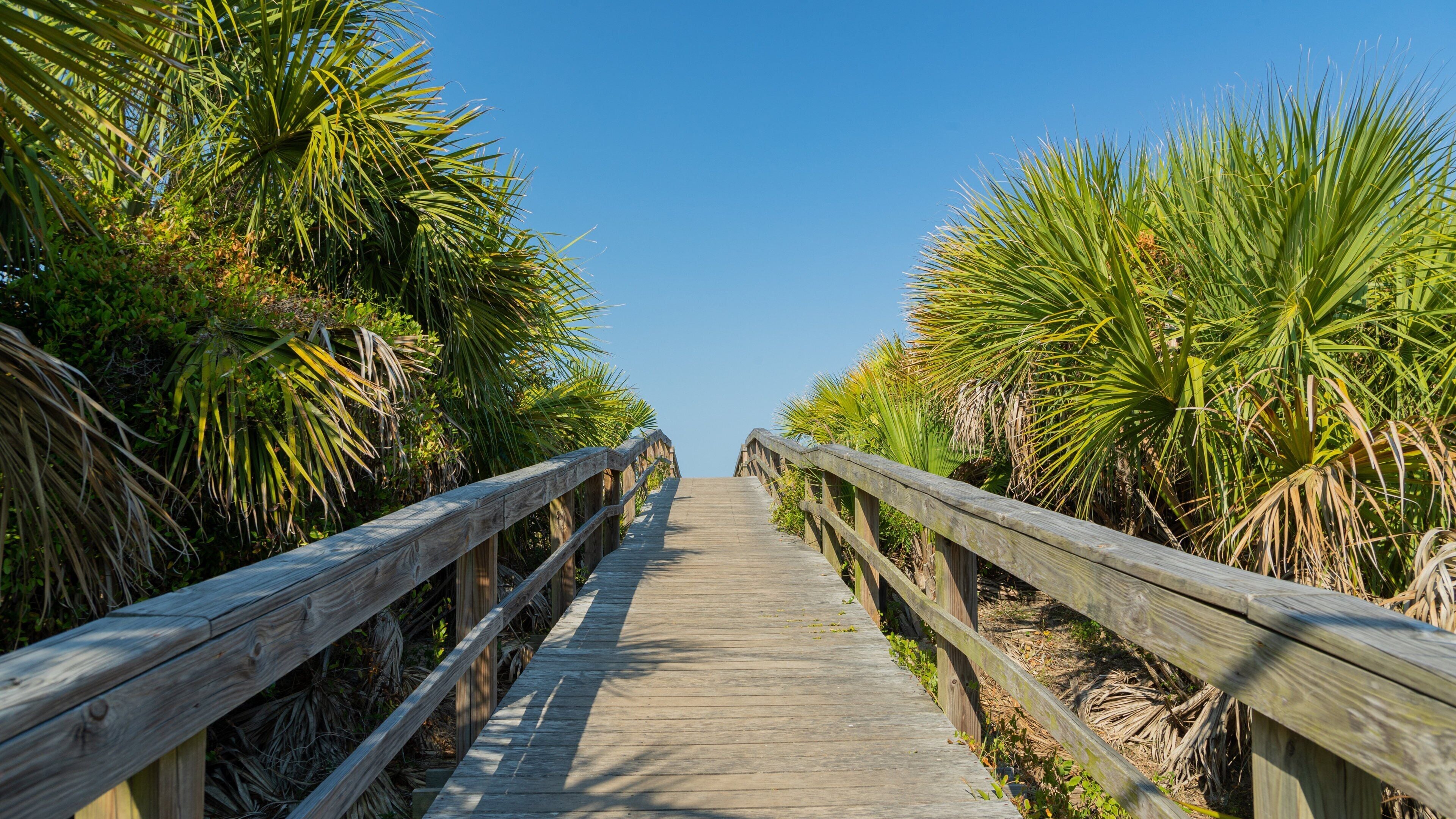 Tybee Island featuring a bridge