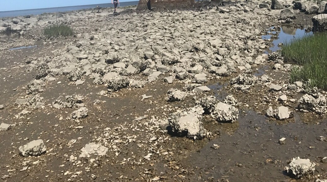 Light house off Tybee