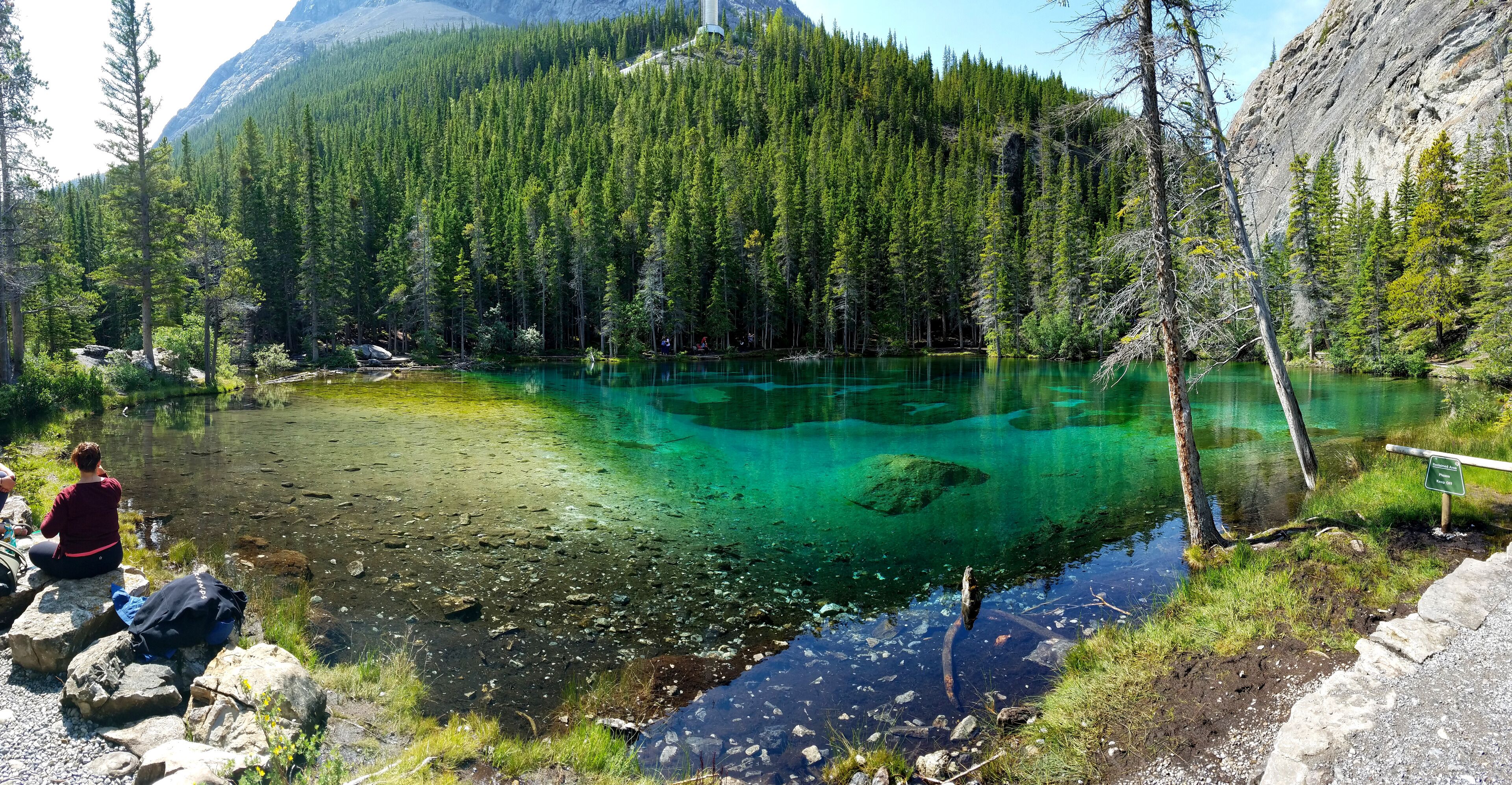 What a beautiful day for this hike! The morning we came here, there was a mamma bear and cub spotted along the trail! With no bear spray, we still decided to go on and I'm so glad we did! #adventure #grassilake #canmore