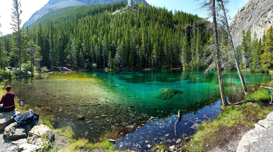 What a beautiful day for this hike! The morning we came here, there was a mamma bear and cub spotted along the trail! With no bear spray, we still decided to go on and I'm so glad we did! #adventure #grassilake #canmore
