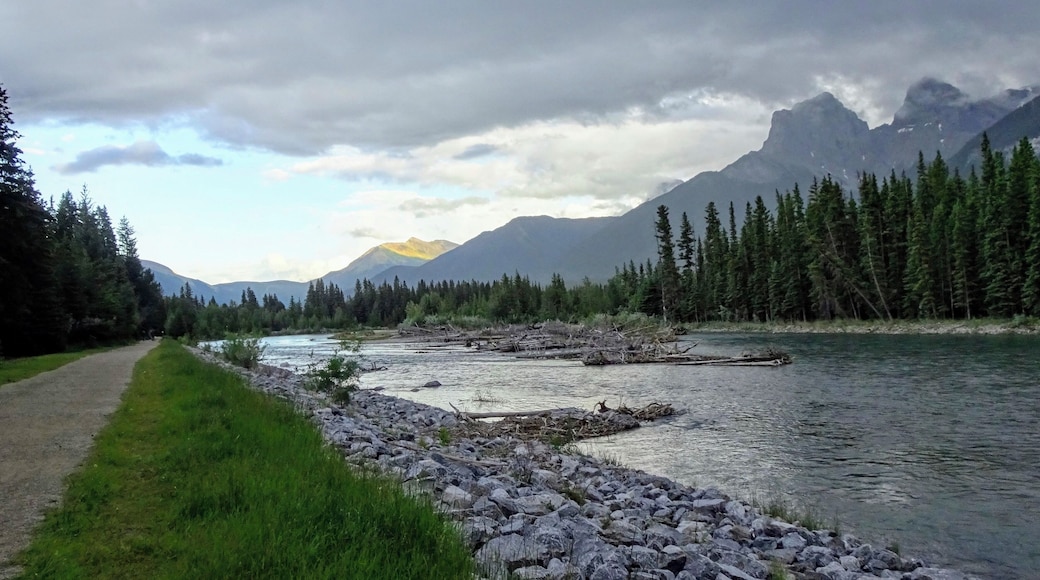 This was The Bow River in Canmore, Alberta, taken around 7:40 pm one evening. Last October when we were here, part of where the dead logs are were almost dry, one could walk around them. The river and lake levels were rmuch higher this time from spring run-offs and so much rain. It was a mixed bag of sun, clouds and rain all day. Love how the sun is shining on the side of the mountain in the background. Sunset was at 9:55 pm. (July 2019)
#Nature