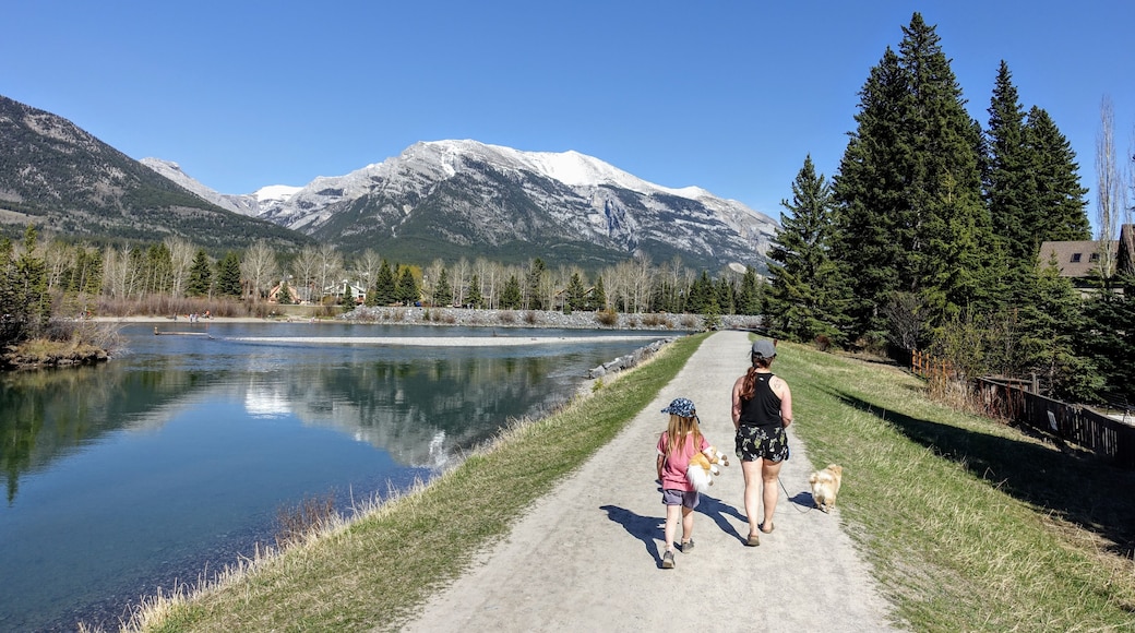 A mother and daughter going for a walk with their dog along the Bow River trails in Canmore, Alberta, Canada on a beautiful sunny summer day.
