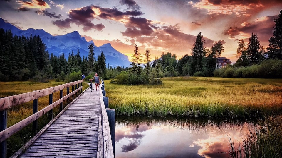 A wooden boardwalk over a calm lake with reflections, surrounded by dense forest and mountains in the background.