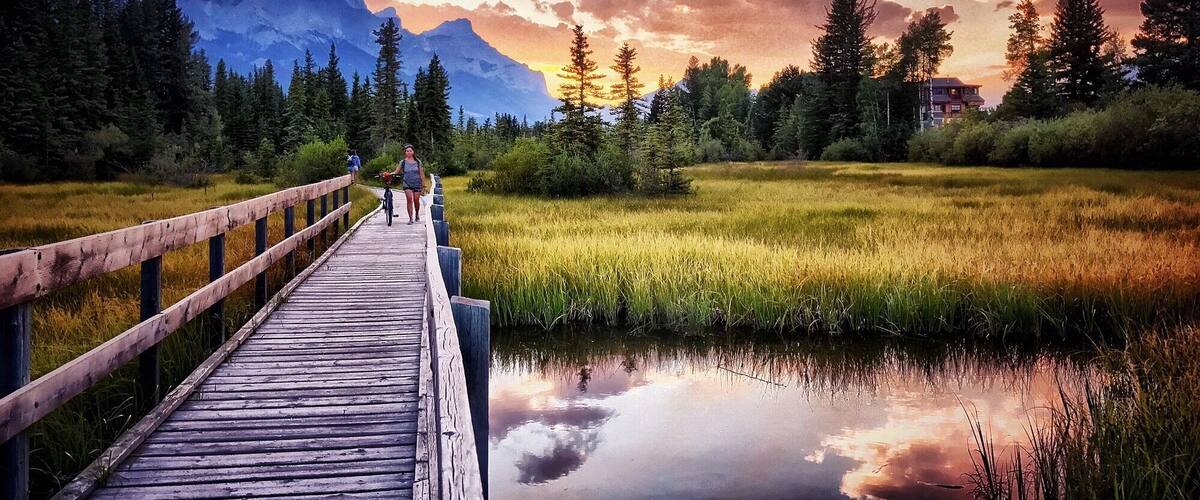 A wooden boardwalk over a calm lake with reflections, surrounded by dense forest and mountains in the background.