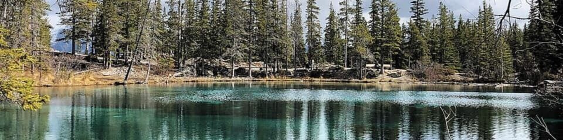 Um lago tranquilo rodeado por altas árvores perenes sob um céu parcialmente nublado.