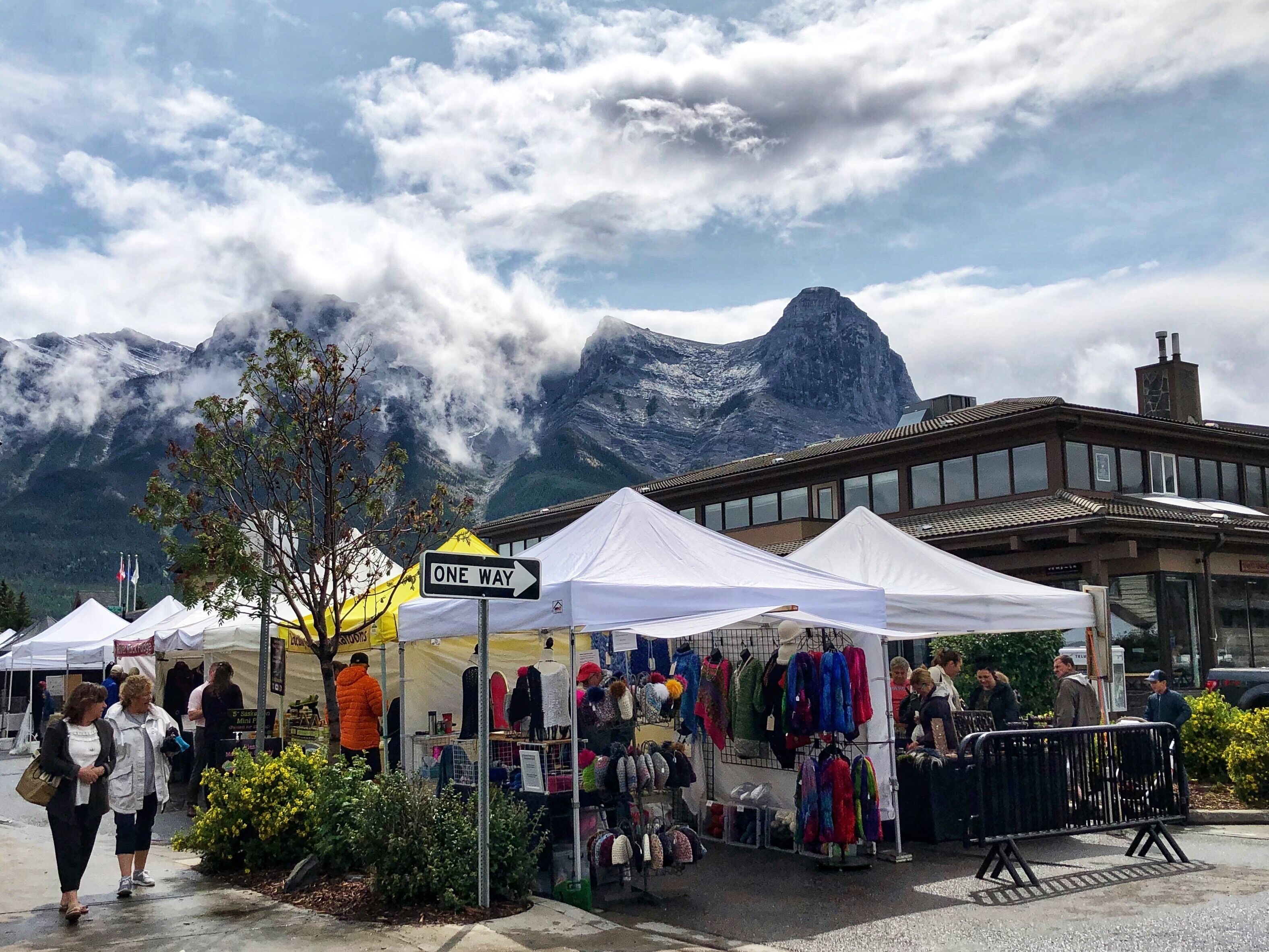 Farmers Market on 7th Avenue on Thursdays 10 am to 6 pm.

#MyBackyard #Trovember