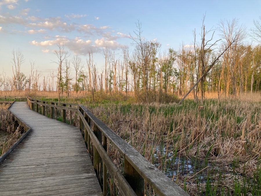 Maumee Bay State Park boardwalk