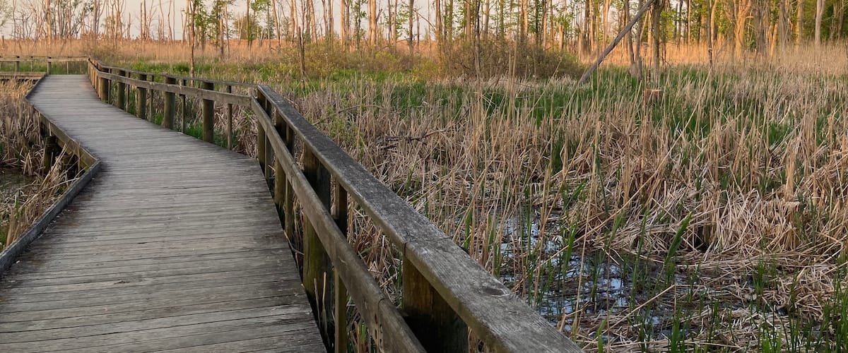 Maumee Bay State Park boardwalk