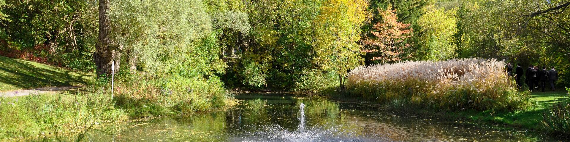 A pond with a fountain in a park surrounded by trees and grass.