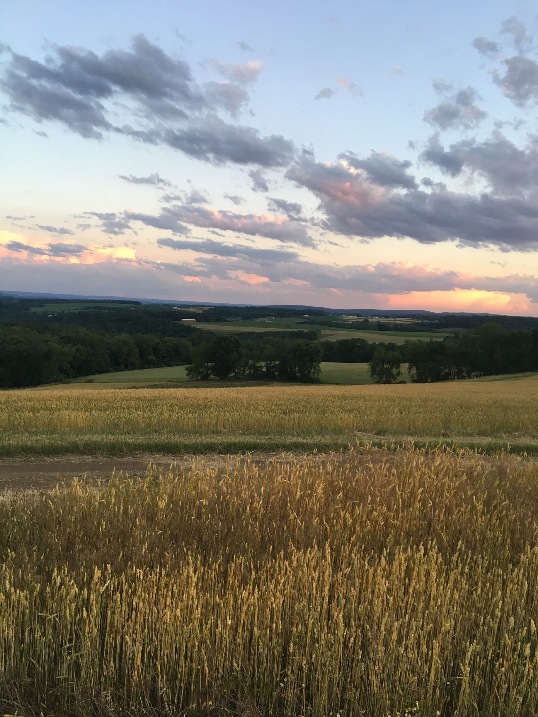 Getting to experience this gorgeous Pennsylvanian sunset isn't easy. It involves a very steep hike up a large hill in the middle of nowhere. But the view of the sun setting over the mountains in the distance here is second to none! #bruisedpassports