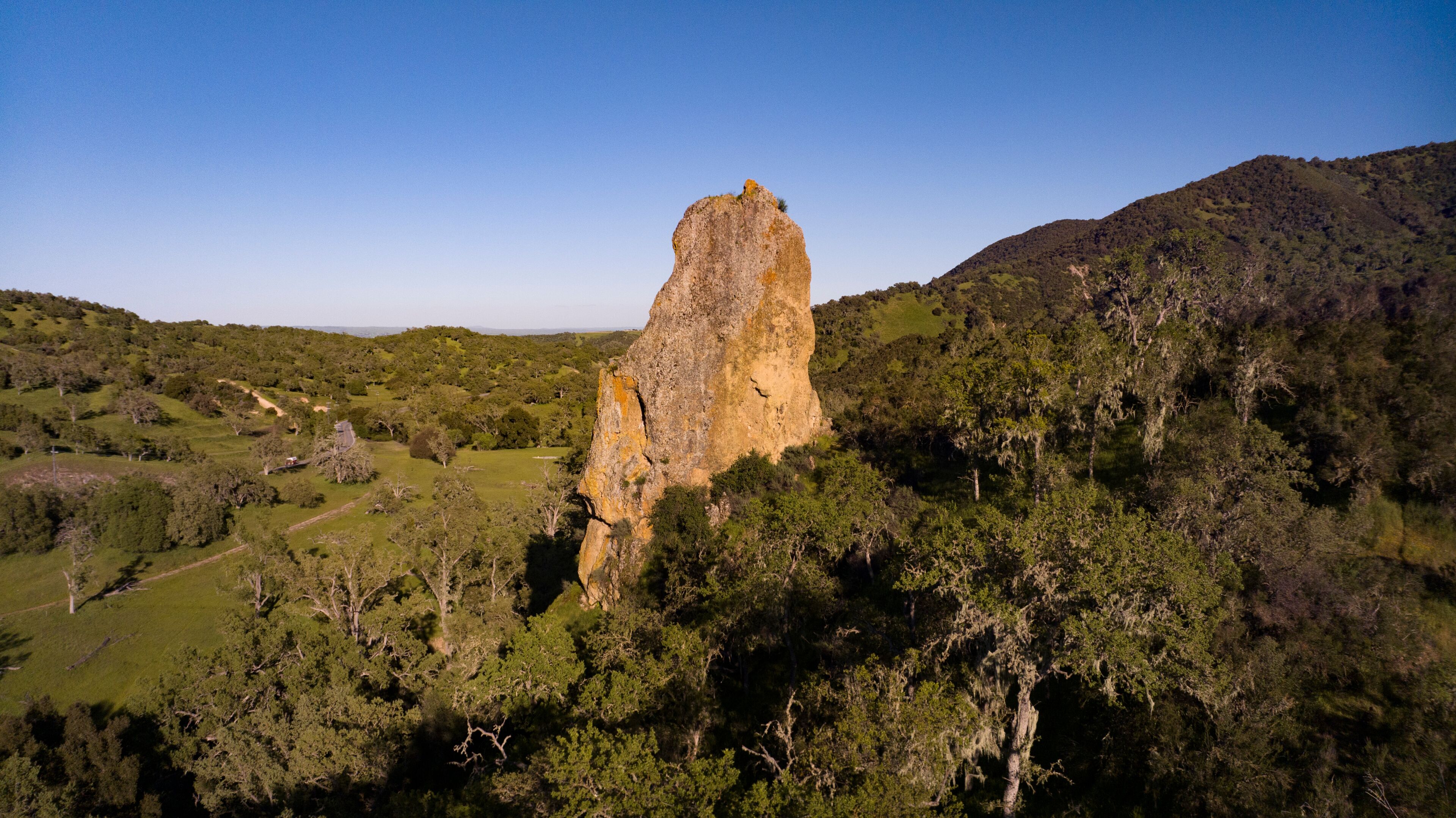 APRIL 2024, PASO ROBLES, CA - Chimney Rock amongst California Oaks