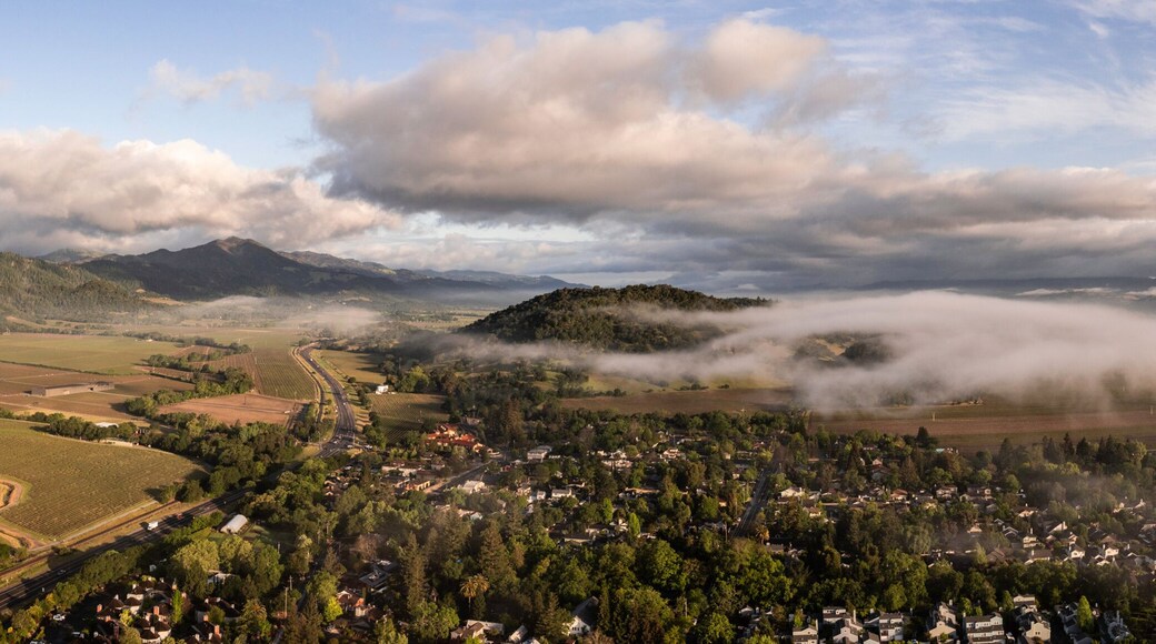 Napa Valley Hot Air Balloons View