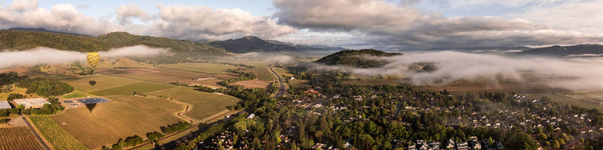 Napa Valley Hot Air Balloons View