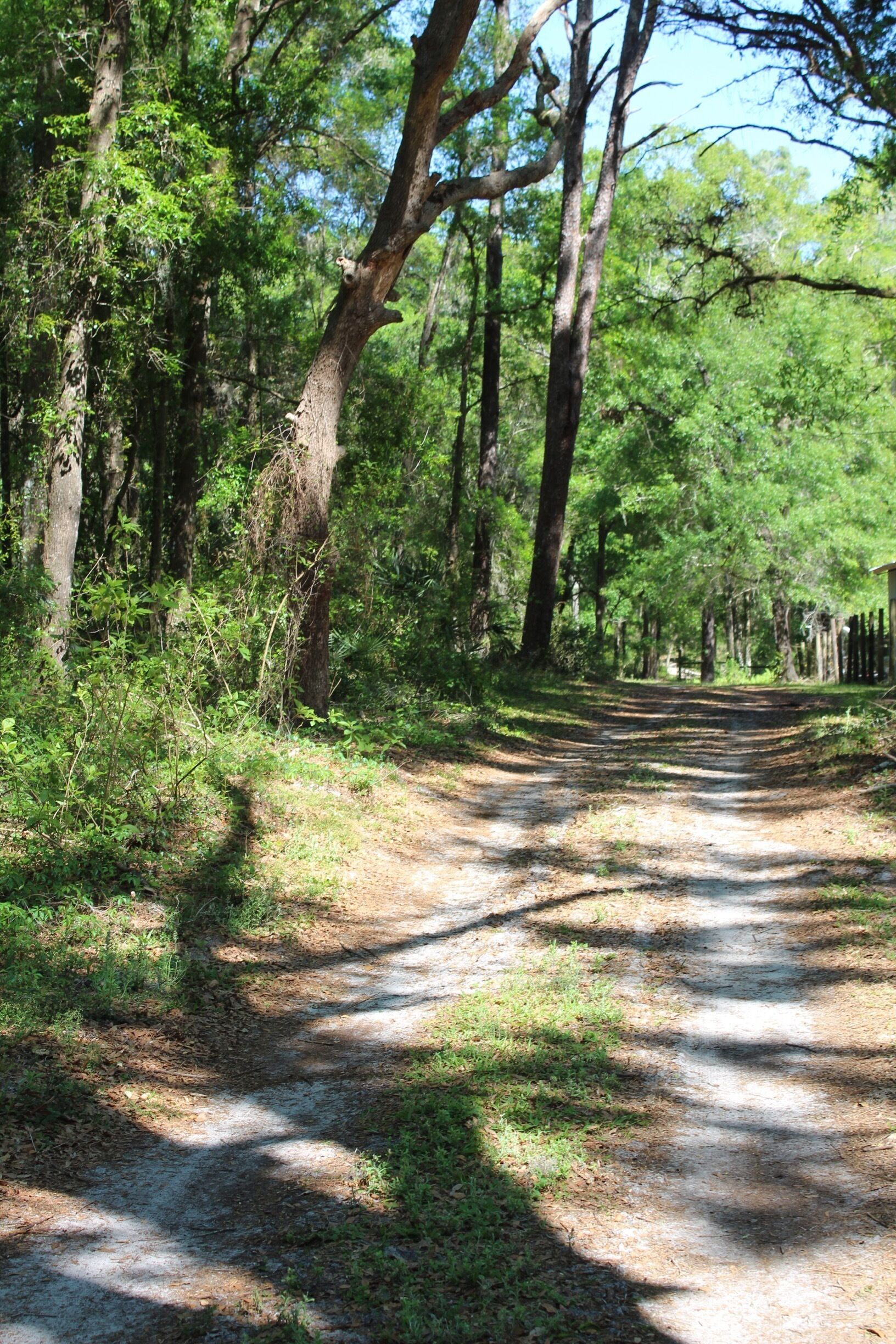 
“The road to mamas house”

Heckman Drive Brooksville , FL
