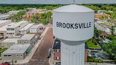 Una torre de agua con la leyenda 'BROOKSVILLE', mostrando vistas de las calles y edificios del pueblo.