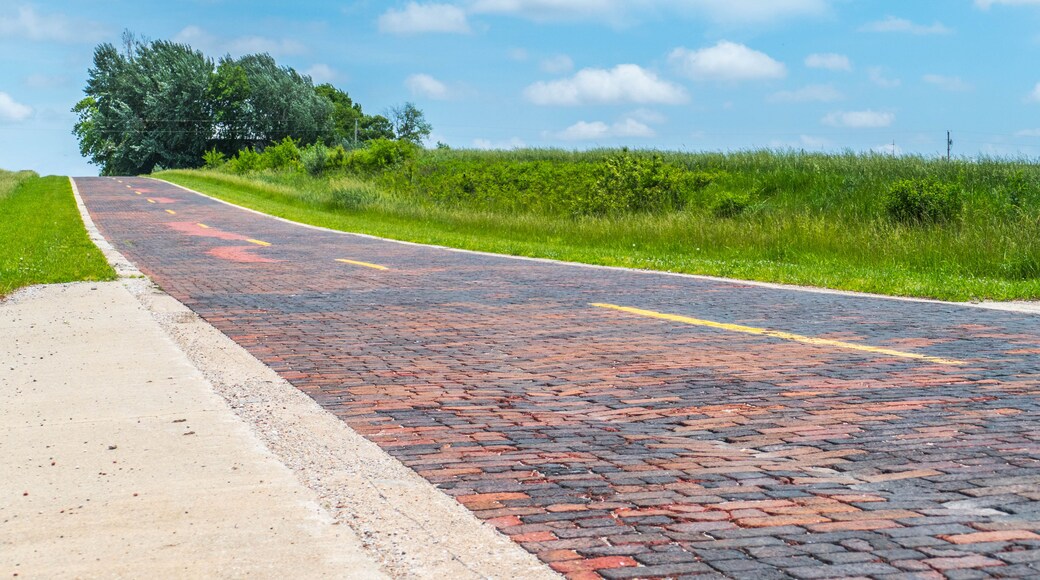 Uma estrada pavimentada com tijolos vermelhos e pretos, ladeada por grama verde e árvores, sob um céu azul claro.