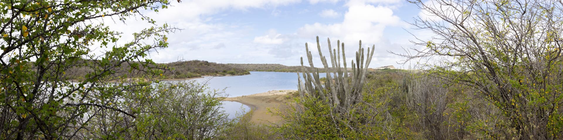 View from the forested and overgrown hills to the Jan Thiel Salt Flats on the Caribbean island Curacao