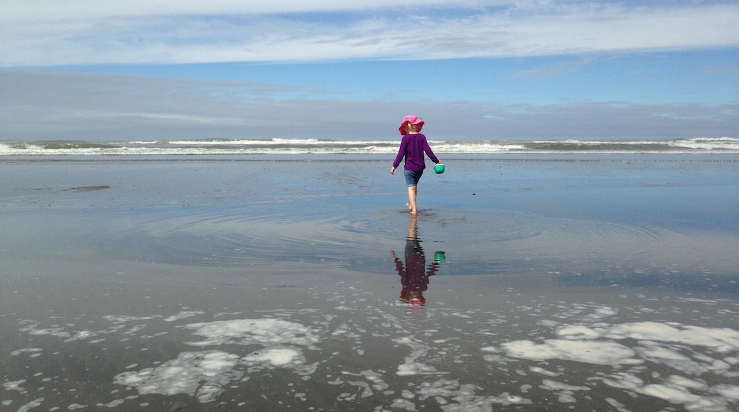 Ocean shores is great in the summer. The water is still quite cold so a dry suit is best for swimming. Lots of sand for sandcastles and wind for kite flying. Prepare for a walk to get to the beach. Lots of wildlife sighting opportunities on the way - we saw a pair of deer between the hotel and the beach. #LifeAtExpedia