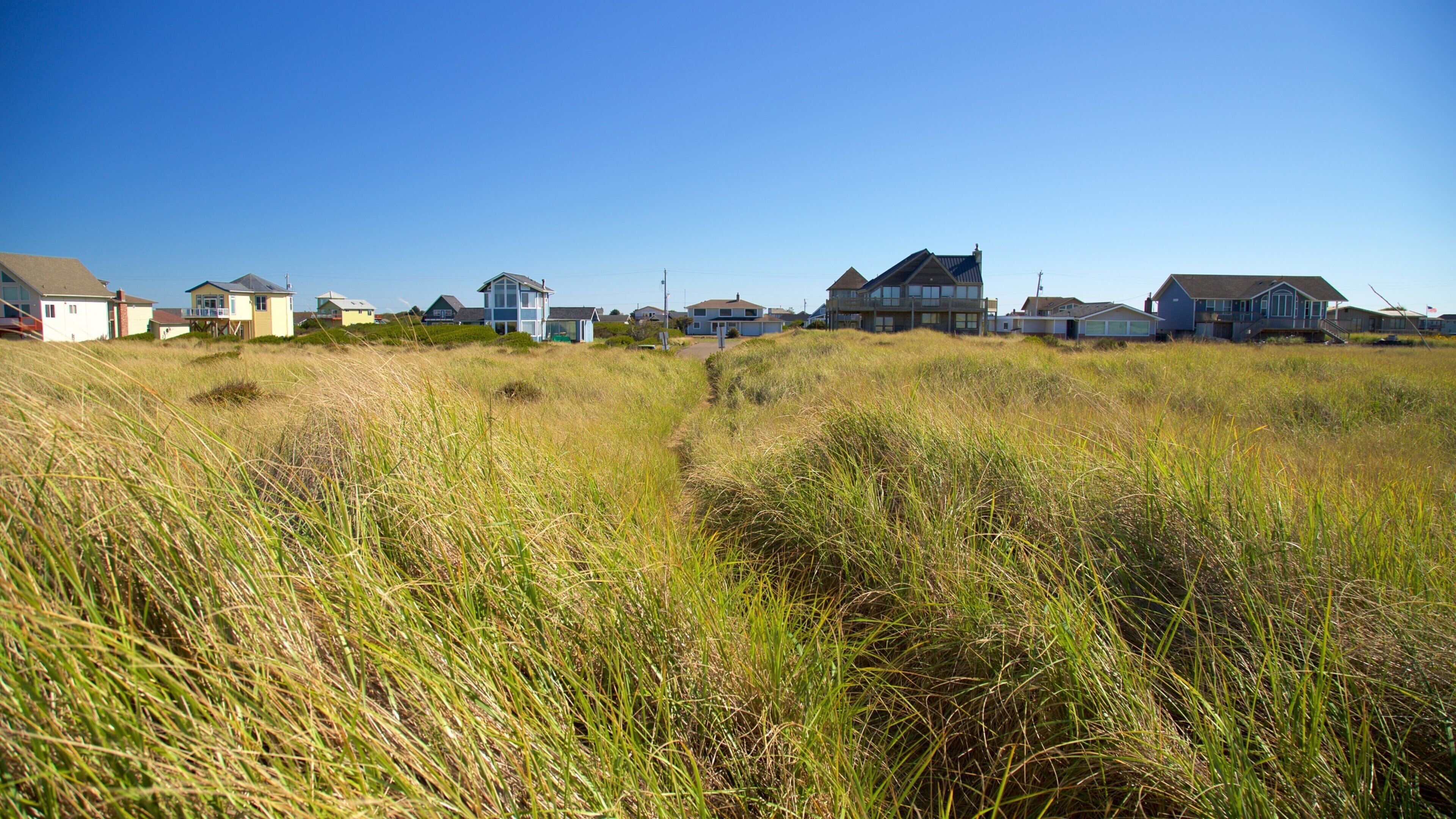 Ocean Shores showing general coastal views, a coastal town and a house