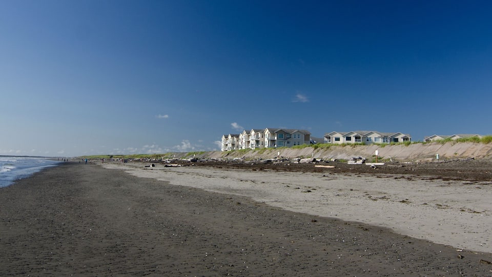 A beach with a row of houses on the dunes.