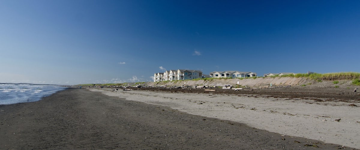 A beach with a row of houses on the dunes.