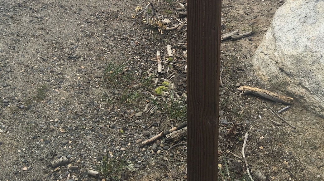 At the summit of the Sierra Nevadas I stood the closest I've ever been to this trail. It's on my wish list...at least I'd like to hike a portion of it.