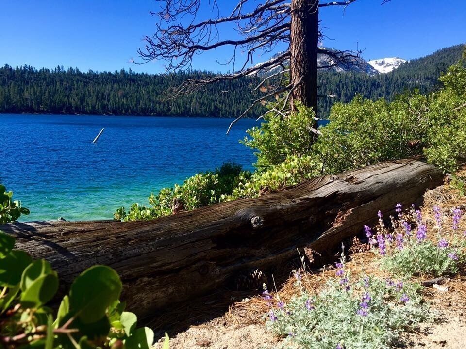 Near Zephyr Cove Resort. Absolutely beautiful views and walking paths! 