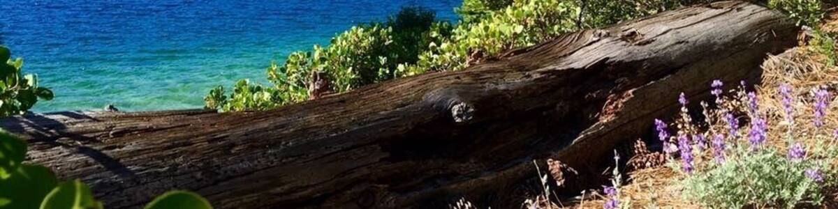 Near Zephyr Cove Resort. Absolutely beautiful views and walking paths!