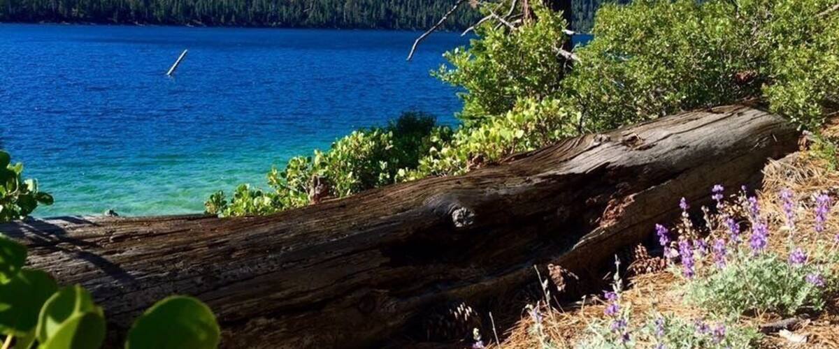 Near Zephyr Cove Resort. Absolutely beautiful views and walking paths!