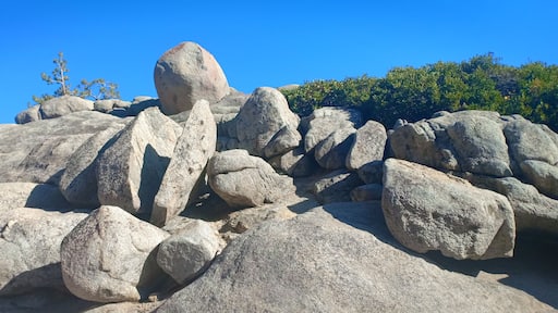 #southlaketahoe
#longdrivingUSA
#california
#travels
#happinessis
#gratefulheart
#jayat50