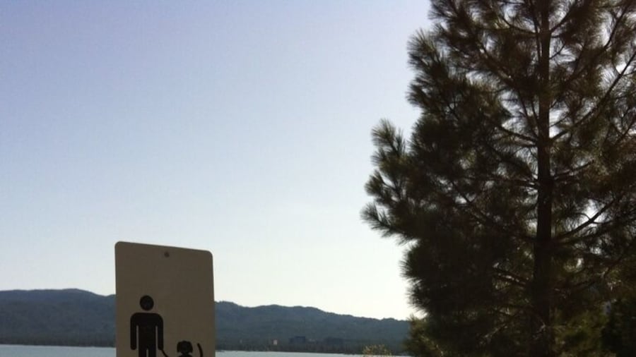 Great walk around the lake - south lake Tahoe- dog park to the left.