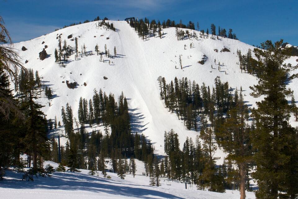 Montaña nevada con telesillas y pinos.