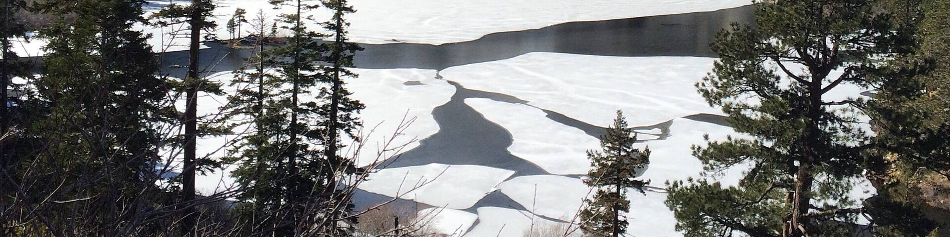 A snow-covered mountain landscape with a glacier and trees.